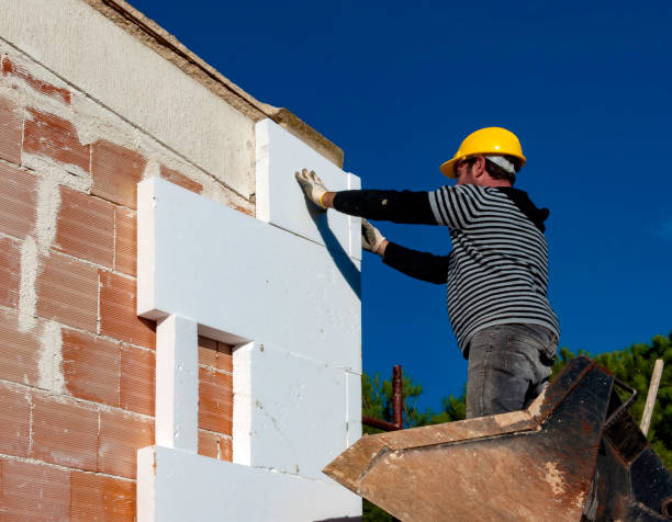 Best Eco-Friendly Insulation in Dayton, TX