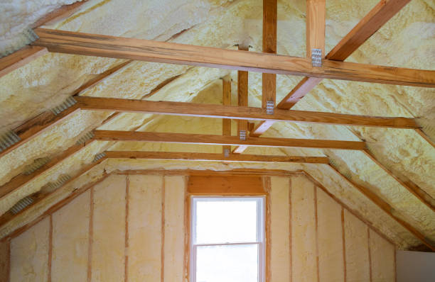 Professional Insulation Contractor in Dayton, TX