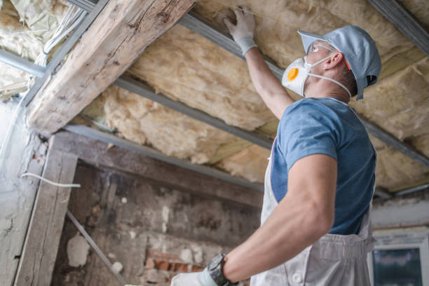 Best Blown-in Insulation in Dayton, TX