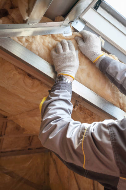 Best Residential Insulation in Dayton, TX